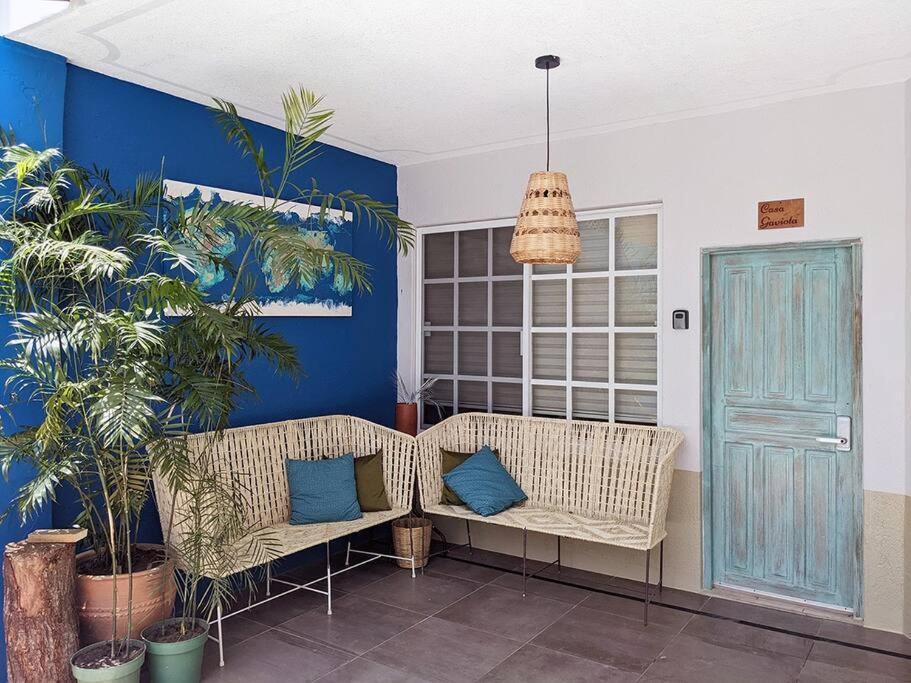 Studio -Trees At Mikasa- Near Beach, Pool, Fast Wifi, Ac & King Bed 埃斯孔迪多港 外观 照片